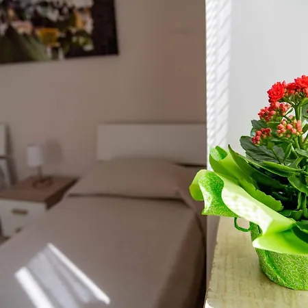 Il Nido Sui Trulli Bed & Breakfast